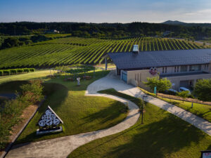 今行ける能登　復興応援ツアー　<br>浜焼きのご昼食と能登ワイン　能登満喫ツアー