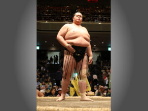 土俵の近くで、力士のぶつかり合う迫力を間近に体感できるタマリS席で迫力観覧！ <br>令和８年夏巡業　大相撲岐阜場所～ お弁当付き～