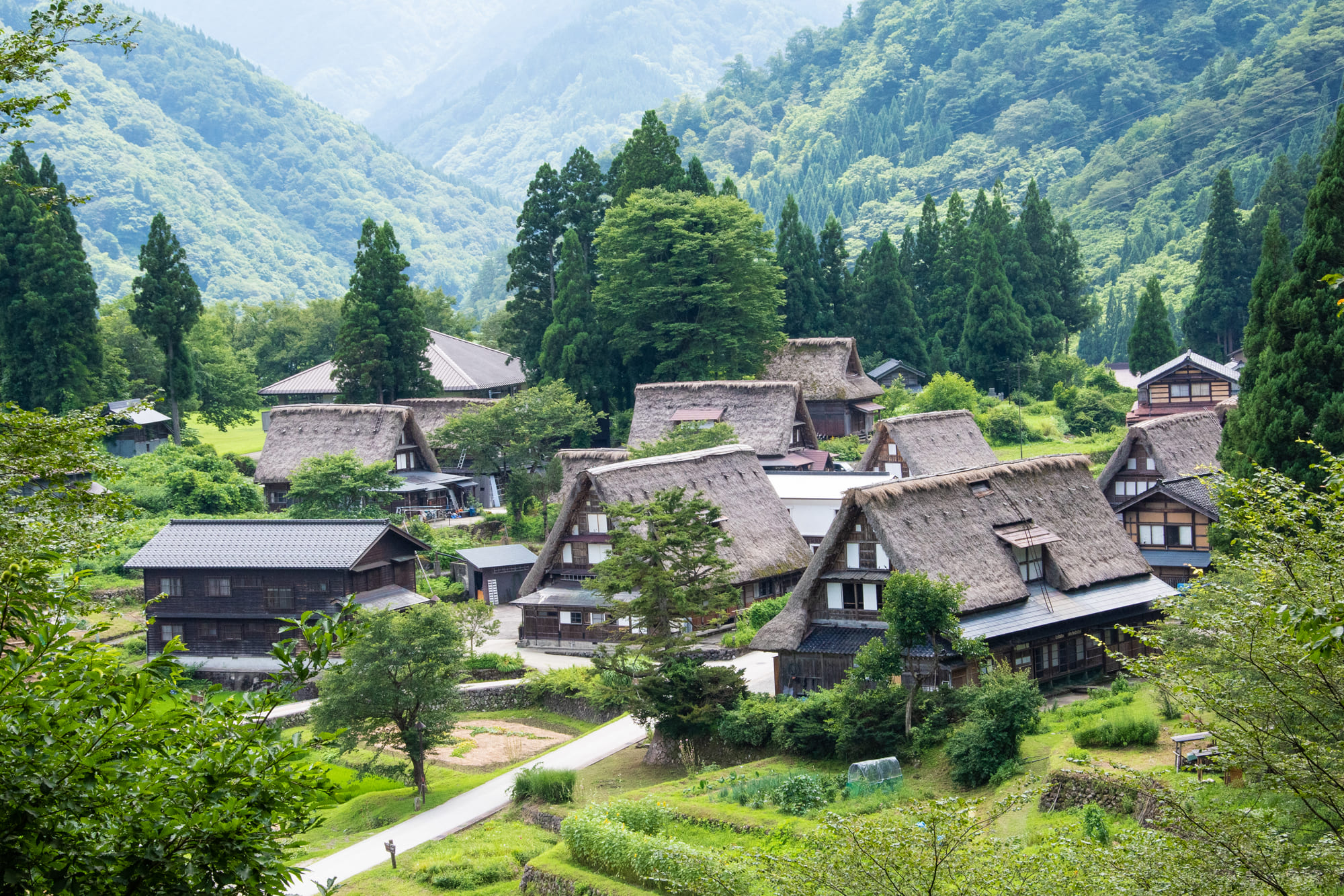 【定期観光バス】世界遺産 白川郷と五箇山相倉