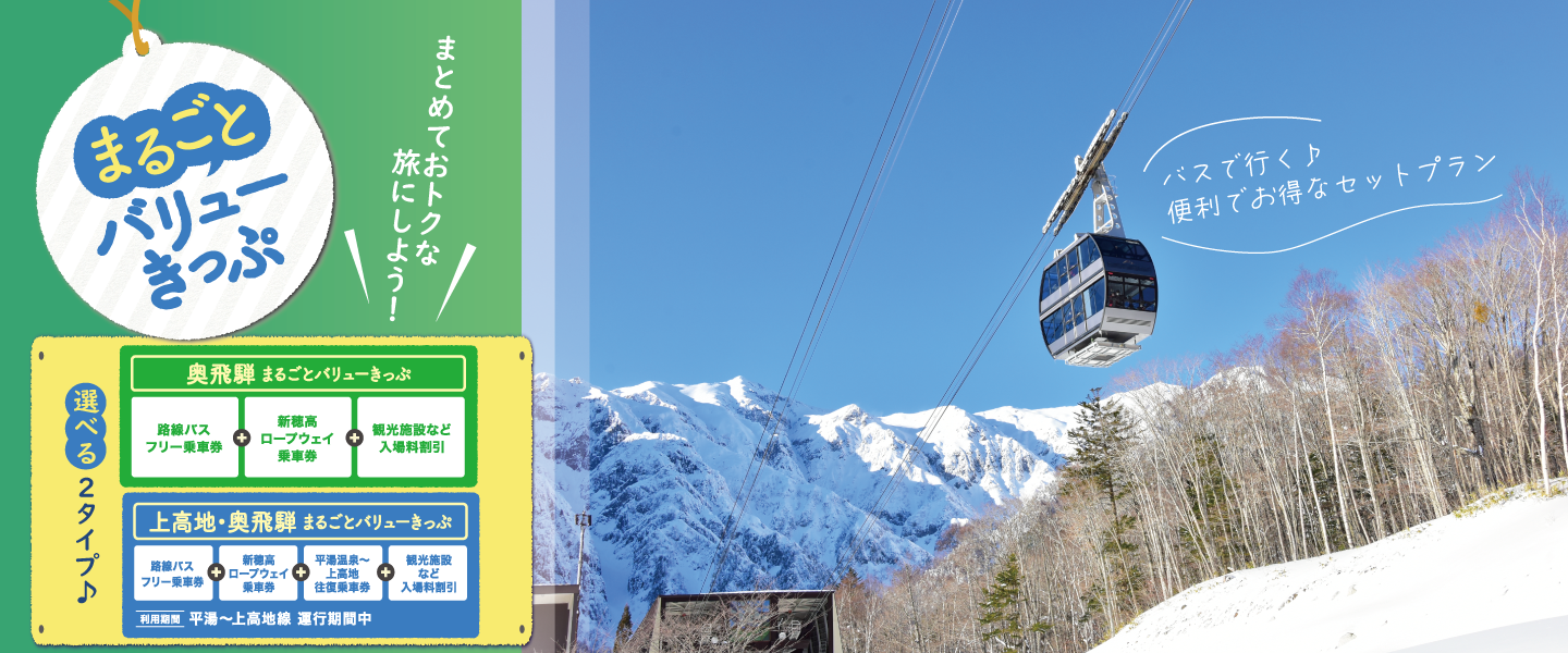 まるごとバリューきっぷ