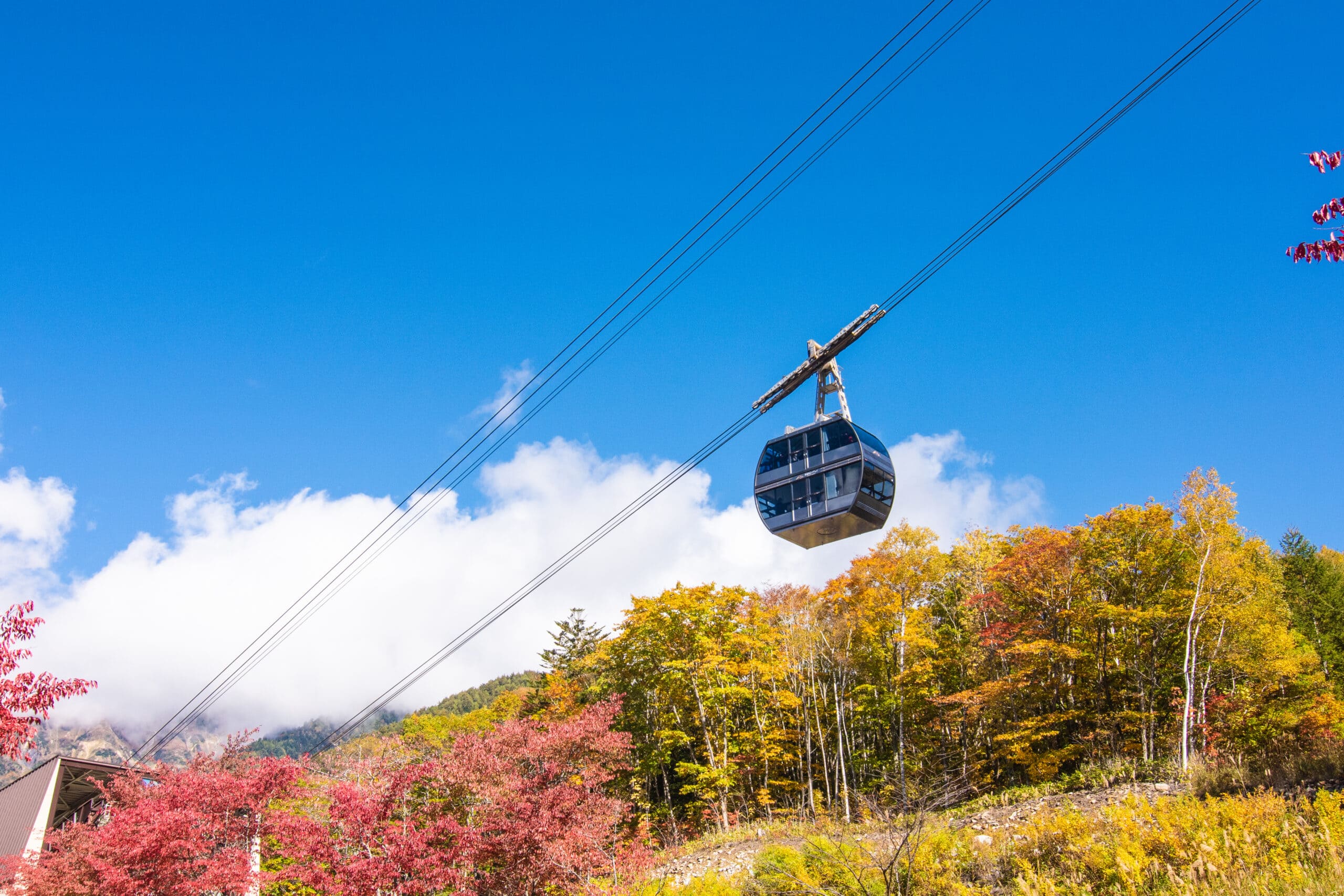 【WEB限定プラン】 日本一を巡る！新穂高ロープウェイと選べるランチ＆スパ