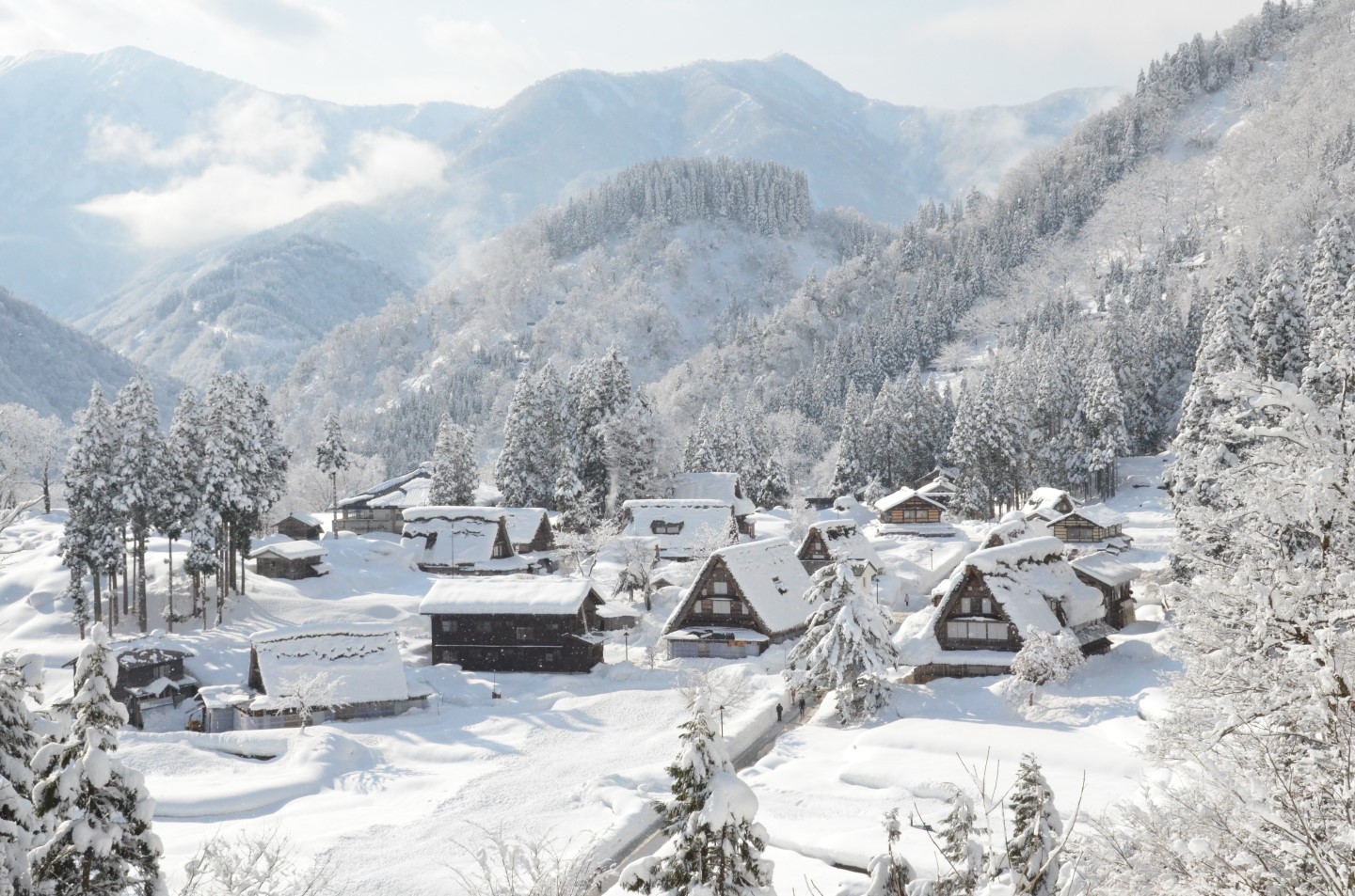 【World Heritage】Shirakawago and Ainokura Bus Tour